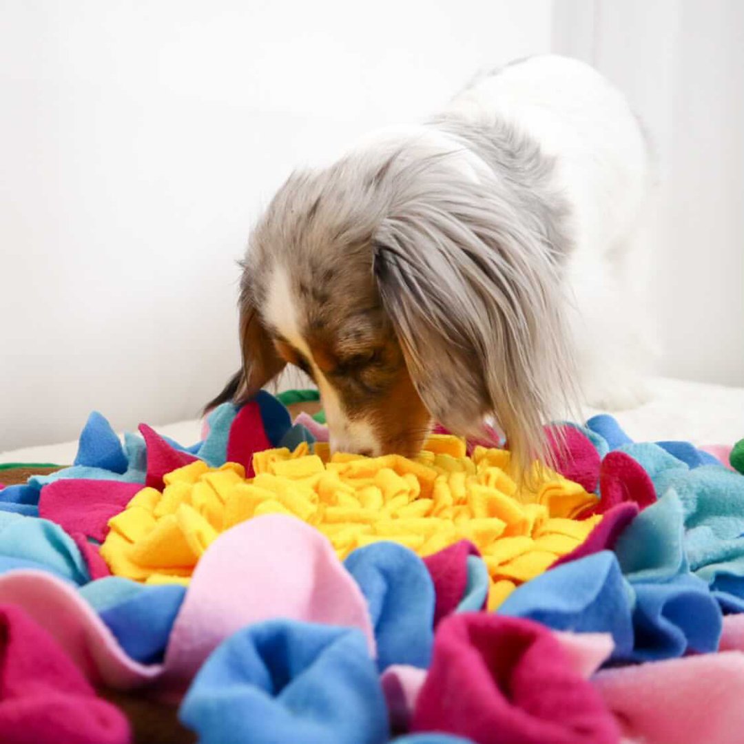 Dog Enrichment Snuffle Honeycomb Puzzle Toy
