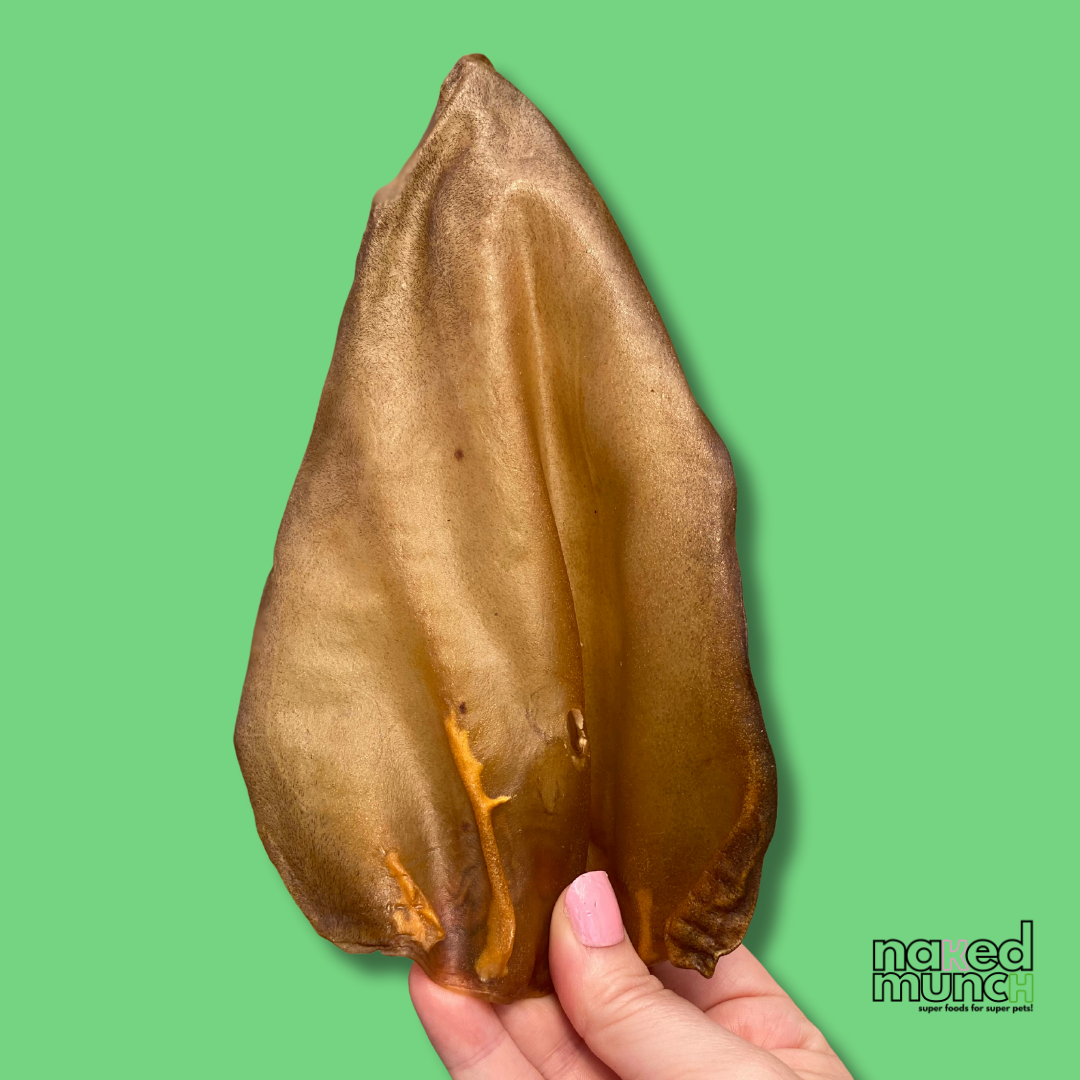 Large Beef Ears | Tough Chews