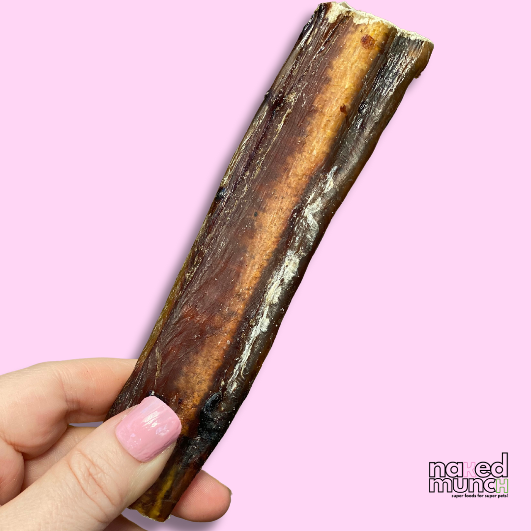 Beef bully stick dog chew