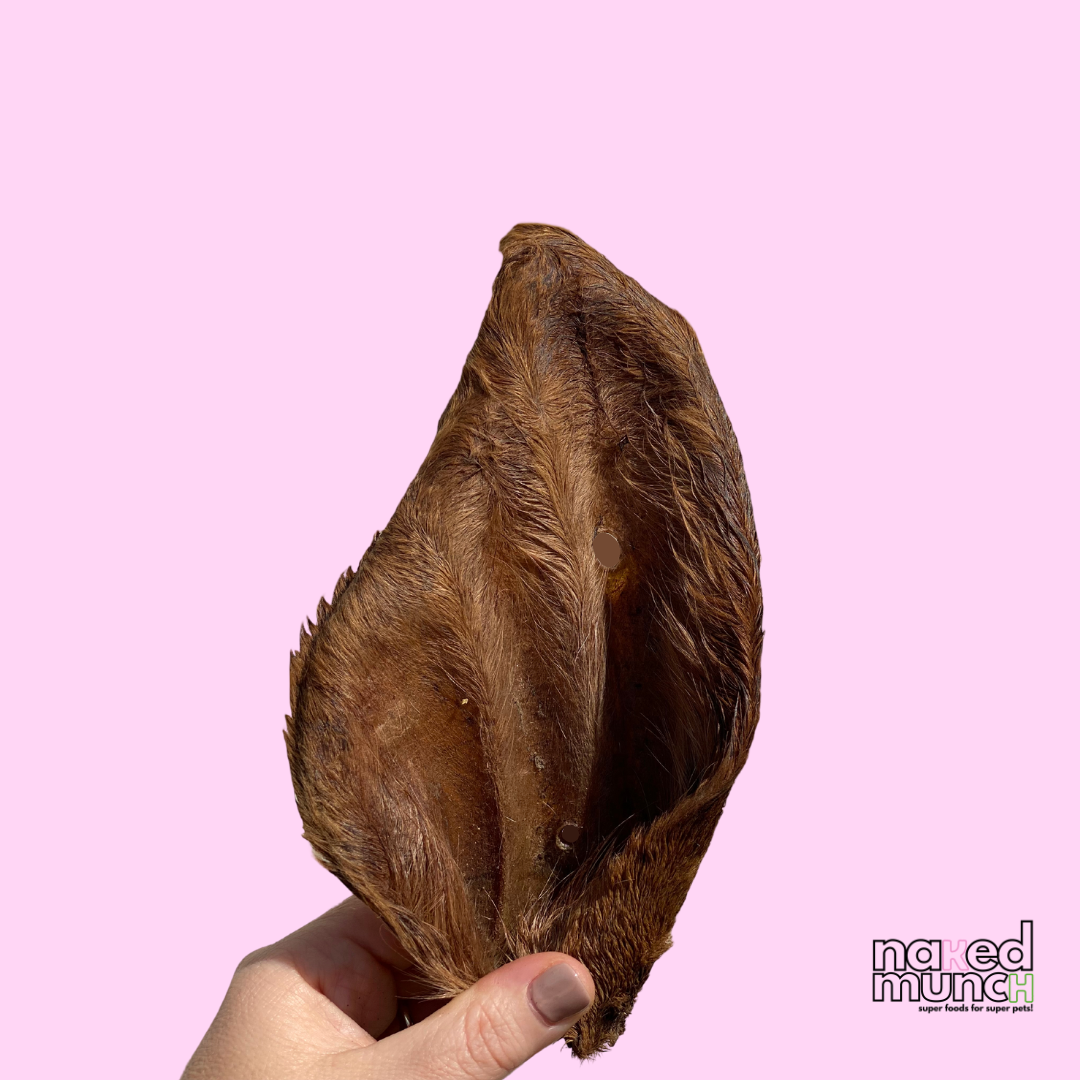 Furry Beef Ear Chews | 15cm